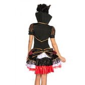 Alice in Wonderland-kostuum