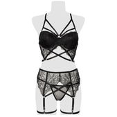 Erotische set van Grey Velvet