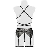Erotische set van Grey Velvet