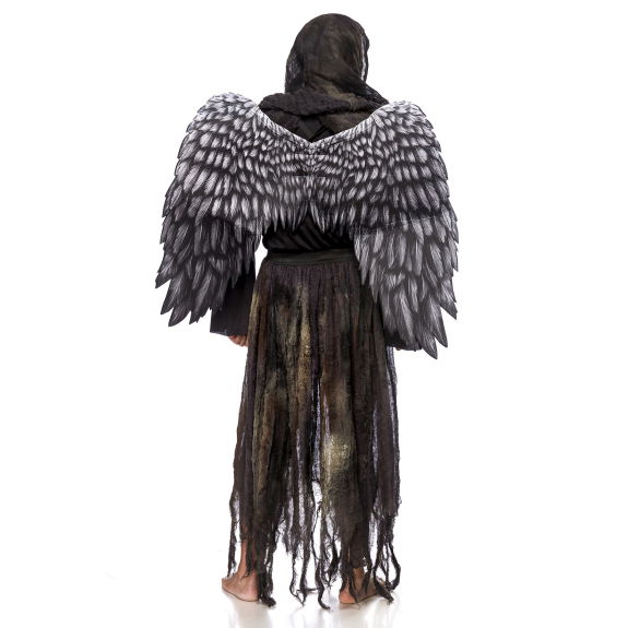 Fallen Angel (mannen) (volledige set)