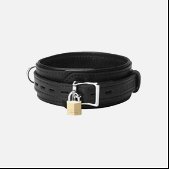 Strict Leather Premium Leren Halsband