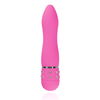 Easytoys Mini Vibrator Glad