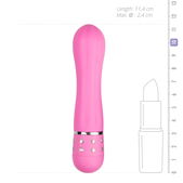 Easytoys Mini Vibrator Gelinieerd