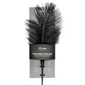 Easytoys Fetish Collection Zwarte veren kietelaar