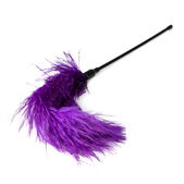 Easytoys Fetish Collection Paarse veren kietelaar
