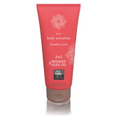 Shiatsu Massage- & Glide Gel 2 in 1 - Aardbei