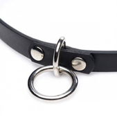 Master Series Collared Vixen Collar Met Ring