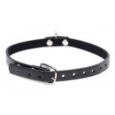 Master Series Collared Vixen Collar Met Ring