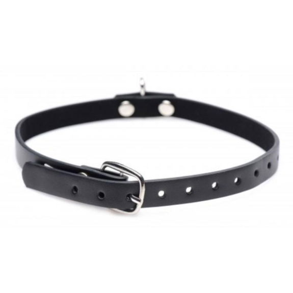 Master Series Collared Vixen Collar Met Ring