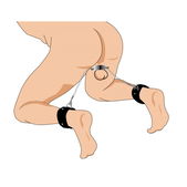 Master Series Hells Tether Ball Stretcher Met Enkelboeie