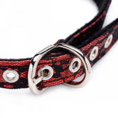 Master Series Opvallende Ball Gag Met Roos