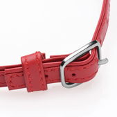 Master Series Heart Lock - Collar Met Sleutels - Rood