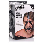Strict Hoofd Harnas Met Ballgag