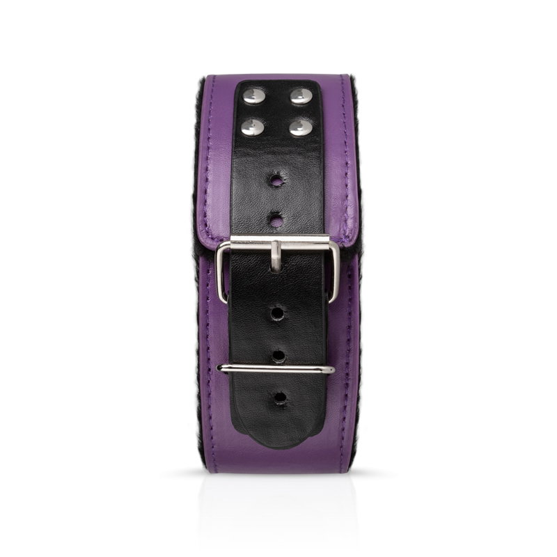 Secret Pleasure Chest - Purple Apprentice - afbeelding 4