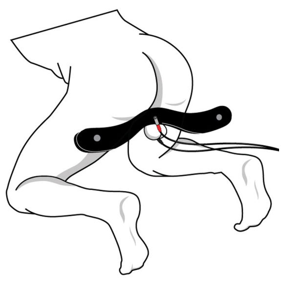 E-Stim Humbler E-Stim Humbler