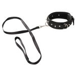 Vegan Halsband Met Lijn Vegan Halsband Met Lijn
