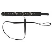 Vegan Fetish Vegan Halsband Met Lijn