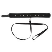 Vegan Fetish Vegan Halsband Met Lijn
