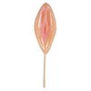 Out of the Blue Vagina Lolly Met Aardbeismaak Out of the Blue Vagina Lolly Met Aardbeismaak