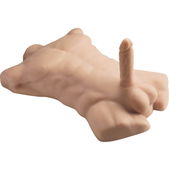 Silexd - Apollo L Realistische Mannelijke Torso