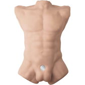Silexd - Apollo L Realistische Mannelijke Torso