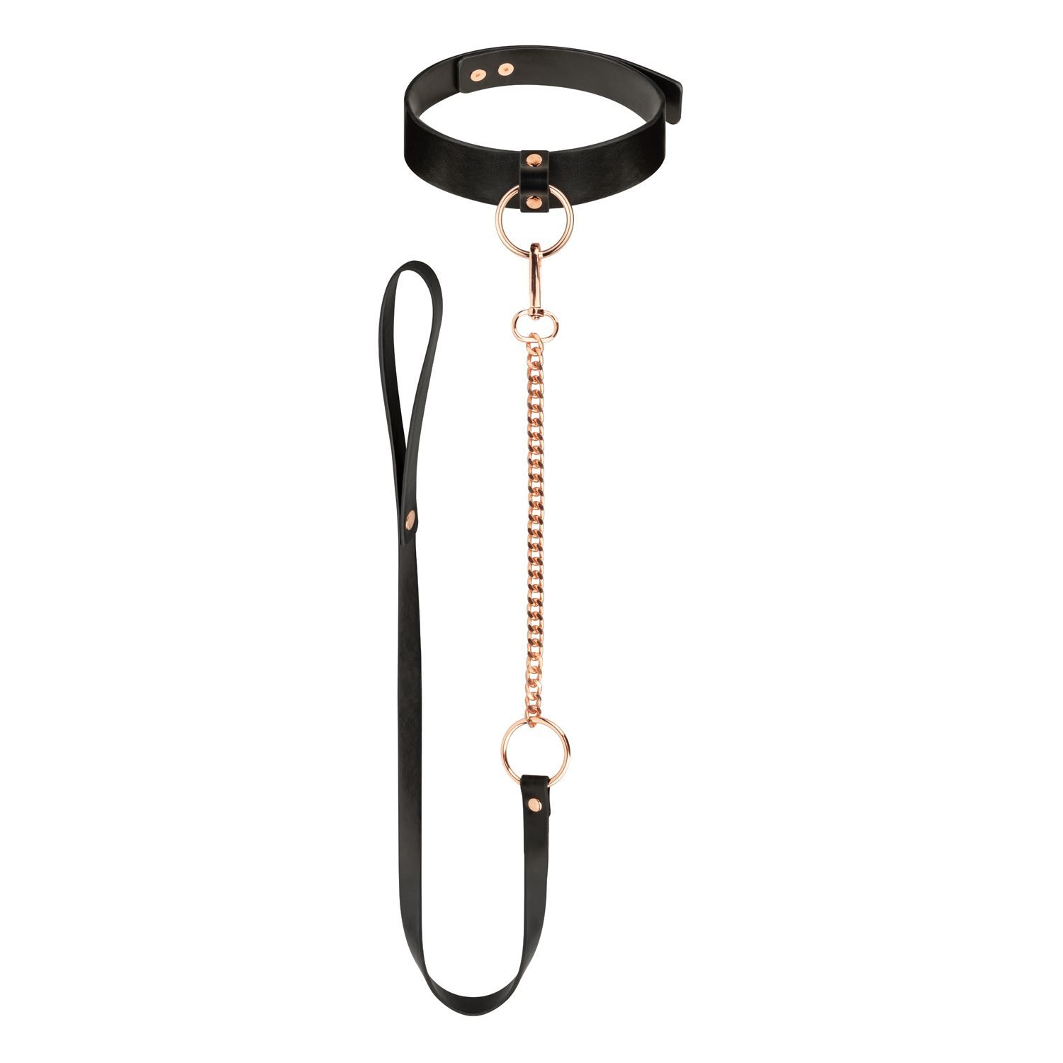 Rosy Gold - Halsband met Leash - Zwart - afbeelding 2