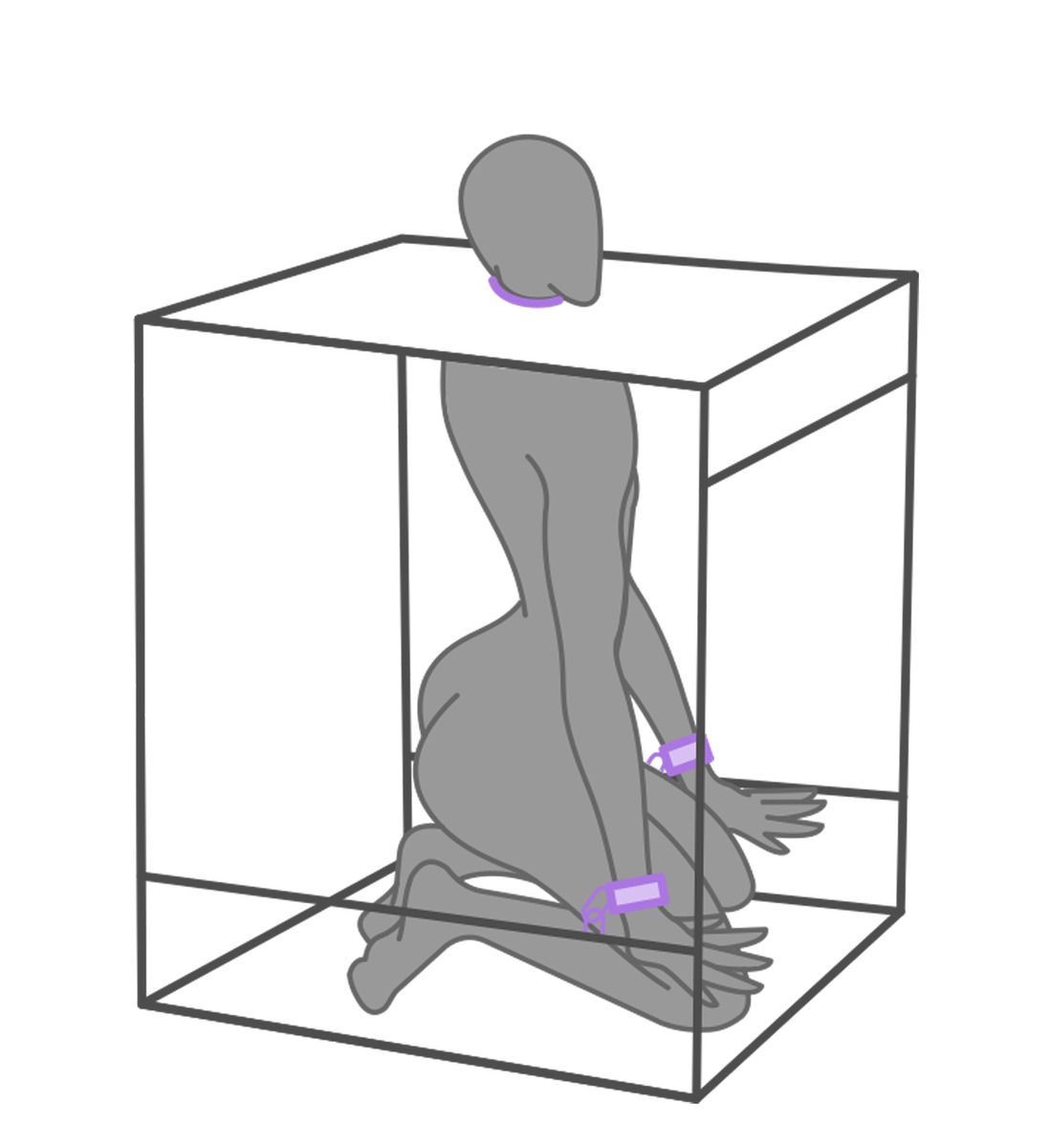 Secretdome – BUKKAKE – Paars - afbeelding 2