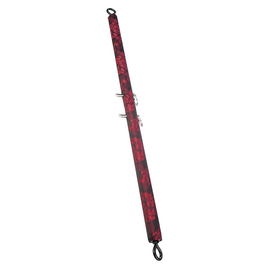 Calexotics - Scandal Zwarte Spatiebalk