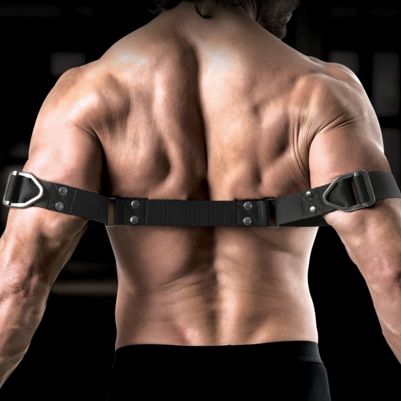 Sir Richards - Command Biceps Bender - afbeelding 4