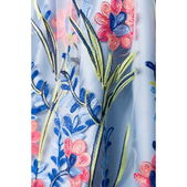 Romantische dirndl inclusief kanten blouse