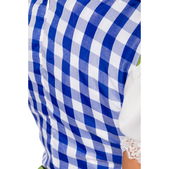 Traditionele Minidirndl