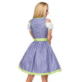 Traditionele Karodirndl