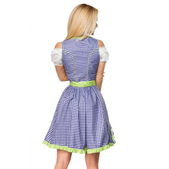 Traditionele Karodirndl