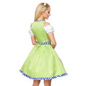 Onderborstdirndl met geruite schort