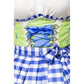 Onderborstdirndl met geruite schort