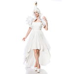 Zwanenkostuum: White Swan