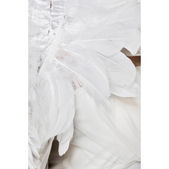 Zwanenkostuum: White Swan