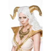Fairy Costume: Golden Fairy