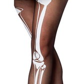 Day of the Dead Costume: Skull Senorita