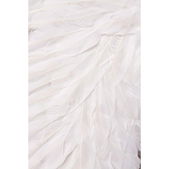 Angel Costume: White Angel