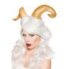 Hoorns goud