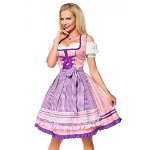 Dirndl met geruit schort