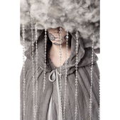 Storm wolk